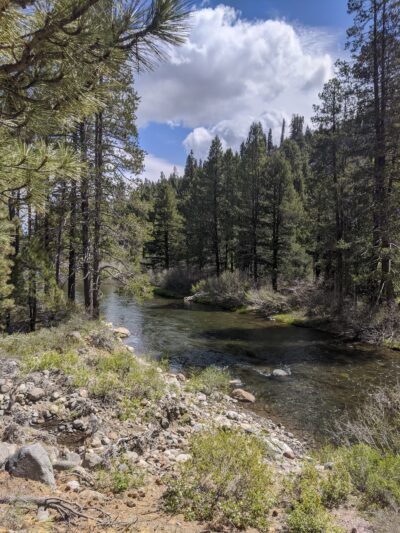 Donkey Town Trailhead - Truckee, CA