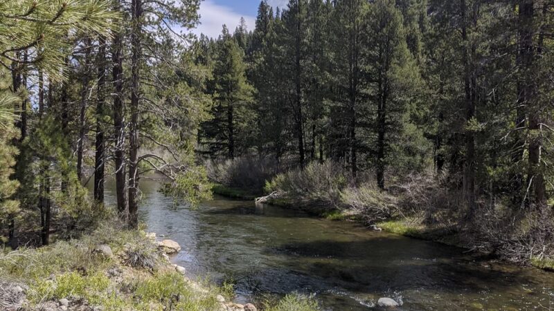 Donkey Town Trailhead - Truckee, CA