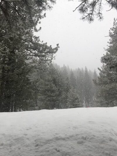 Donkey Town Trailhead - Truckee, CA