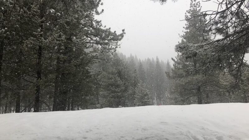 Donkey Town Trailhead - Truckee, CA