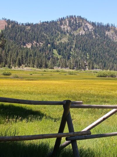 Donkey Town Trailhead - Truckee, CA