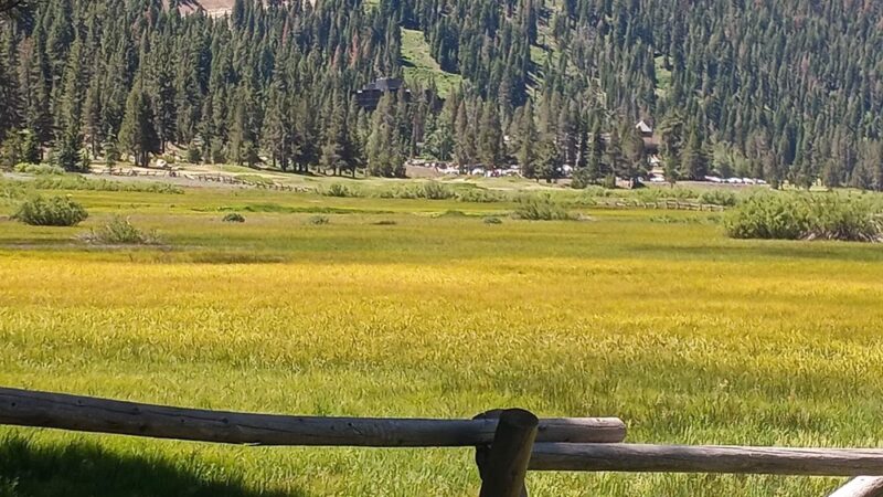 Donkey Town Trailhead - Truckee, CA
