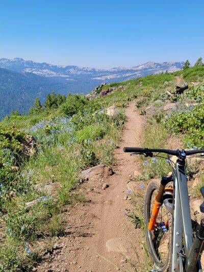 Donner Lake Rim Trail Trailhead - Bermgarten - Truckee, CA