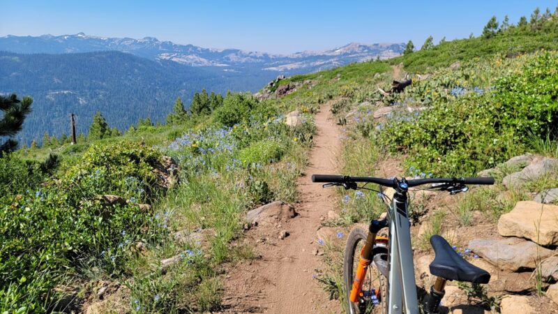 Donner Lake Rim Trail Trailhead - Bermgarten - Truckee, CA