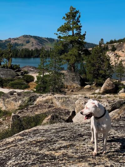 Donner Lake Rim Trail Trailhead - Bermgarten - Truckee, CA
