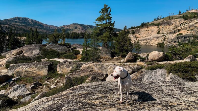 Donner Lake Rim Trail Trailhead - Bermgarten - Truckee, CA