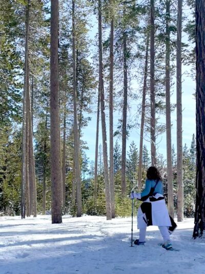 Donner Memorial State Park - Truckee, CA