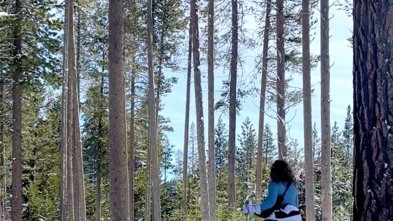 Donner Memorial State Park - Truckee, CA
