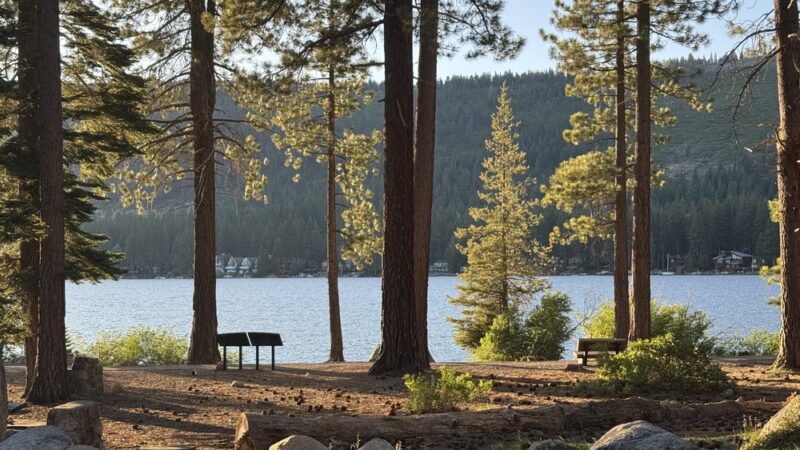 Donner Memorial State Park - Truckee, CA
