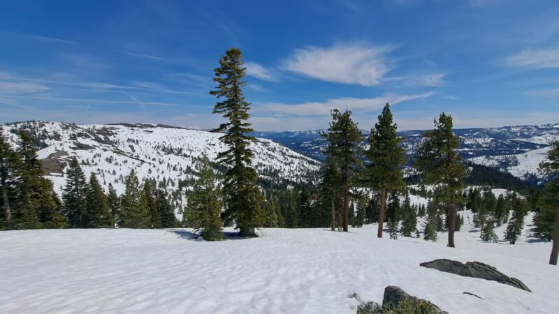 Johnson Canyon Trailhead - Truckee, CA