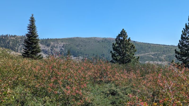 Johnson Canyon Trailhead - Truckee, CA
