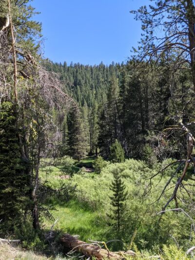 Lower Carpenter Valley Trailhead - Truckee, CA