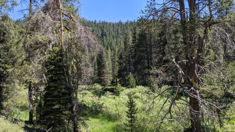 Lower Carpenter Valley Trailhead - Truckee, CA