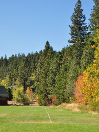 Meadow Park - Truckee, CA