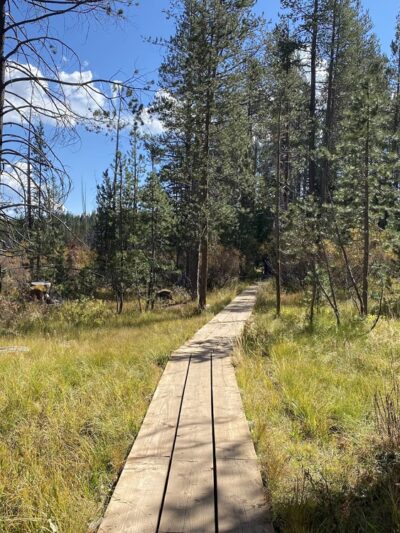 Nature Loop Trailhead - Truckee, CA