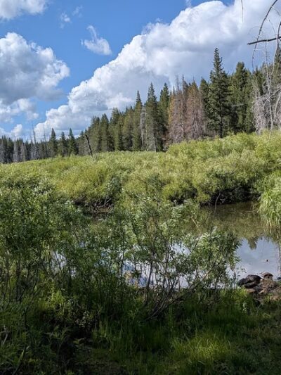 Nature Loop Trailhead - Truckee, CA
