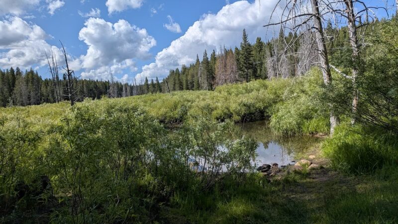 Nature Loop Trailhead - Truckee, CA