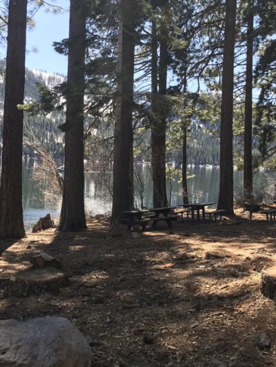 Shoreline Park - Truckee, CA