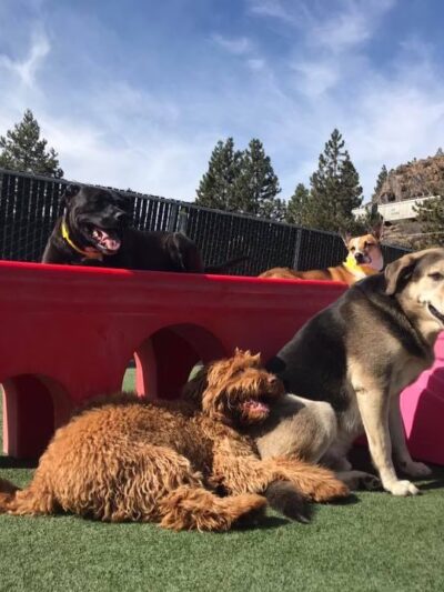 Truckee-Tahoe Pet Lodge - Truckee, CA