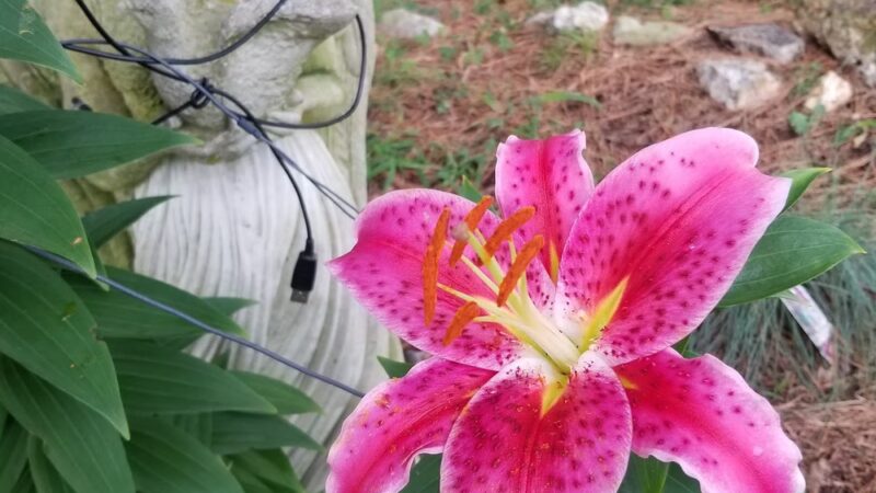 North Side Park - Trumann, AR