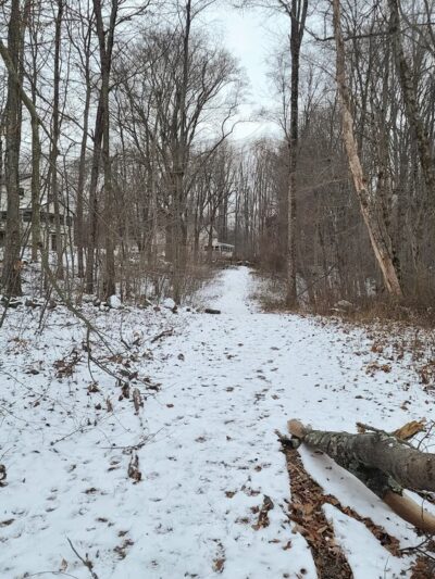 Booth Hill Brook Trail - Trumbull, CT