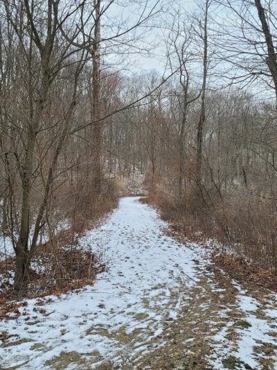 Booth Hill Brook Trail - Trumbull, CT