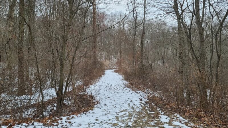 Booth Hill Brook Trail - Trumbull, CT