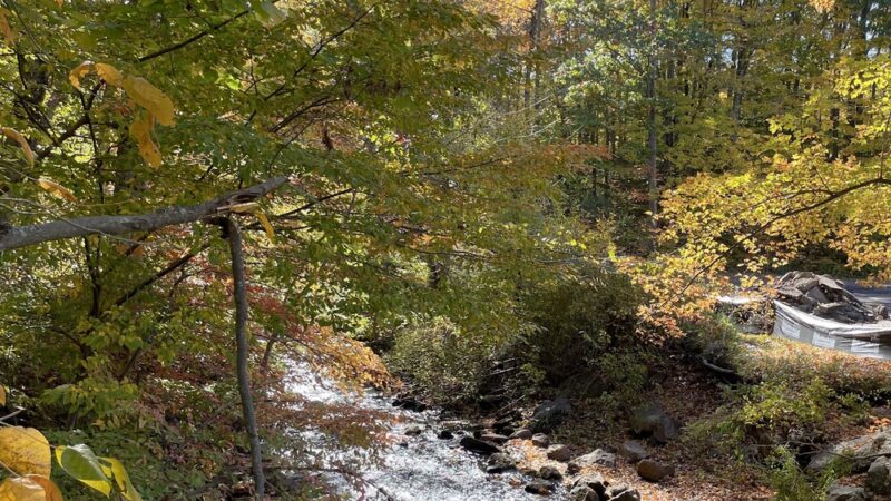 Old Mine Park - Trumbull, CT