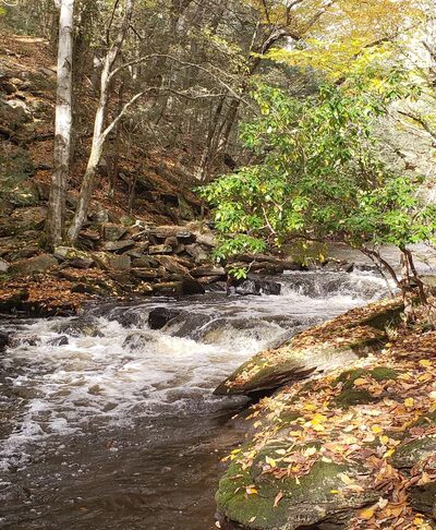 Pequonnock River Valley Park - Trumbull, CT