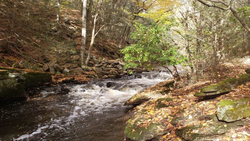Pequonnock River Valley Park - Trumbull, CT