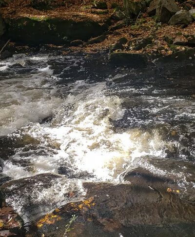 Pequonnock River Valley Park - Trumbull, CT