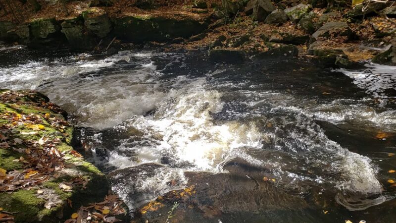 Pequonnock River Valley Park - Trumbull, CT