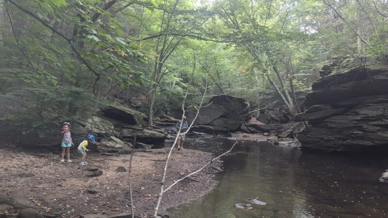 Pequonnock River Valley Park - Trumbull, CT