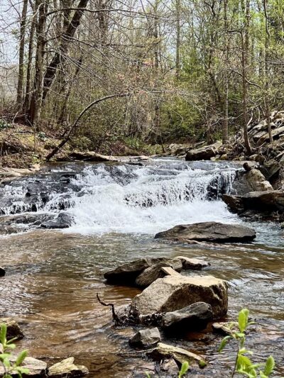 Vaughn Creek Greenway Hiking Trail - Tryon, NC
