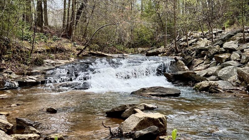 Vaughn Creek Greenway Hiking Trail - Tryon, NC