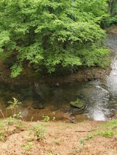 Vaughn Creek Greenway Hiking Trail - Tryon, NC