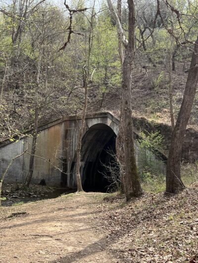 Vaughn Creek Greenway Hiking Trail - Tryon, NC