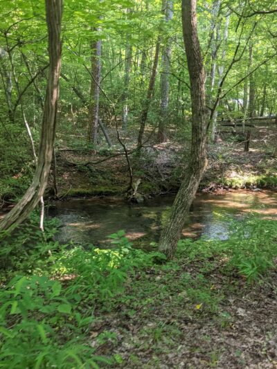 Vaughn Creek Greenway Hiking Trail - Tryon, NC