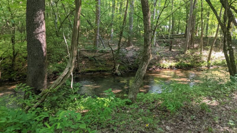 Vaughn Creek Greenway Hiking Trail - Tryon, NC