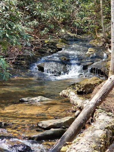 Woodland Park Trail Head - Tryon, NC