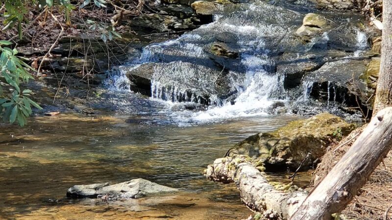 Woodland Park Trail Head - Tryon, NC