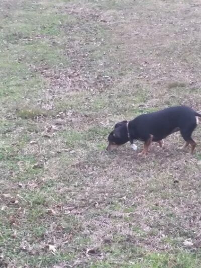 Tuckerman City Park - Tuckerman, AR