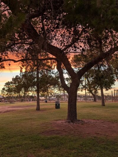 Anza Park - Tucson, AZ