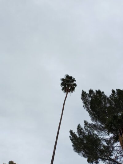 Anza Park - Tucson, AZ