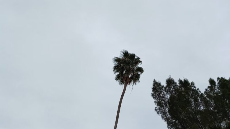 Anza Park - Tucson, AZ