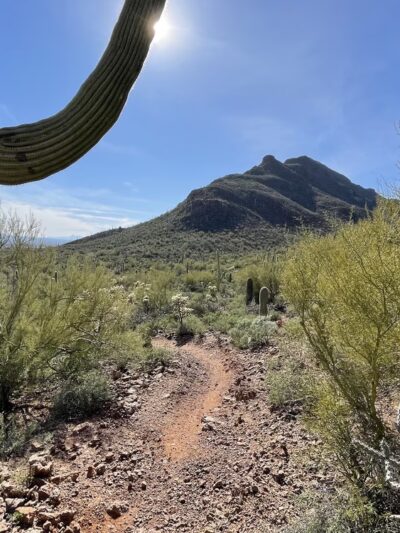 Explorer Trailhead - Tucson, AZ