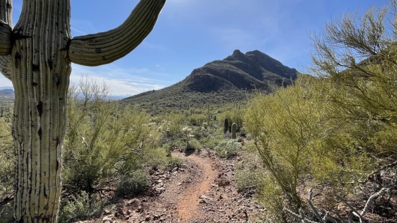 Explorer Trailhead - Tucson, AZ