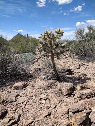 Explorer Trailhead - Tucson, AZ