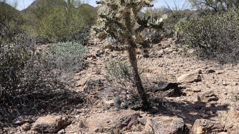 Explorer Trailhead - Tucson, AZ
