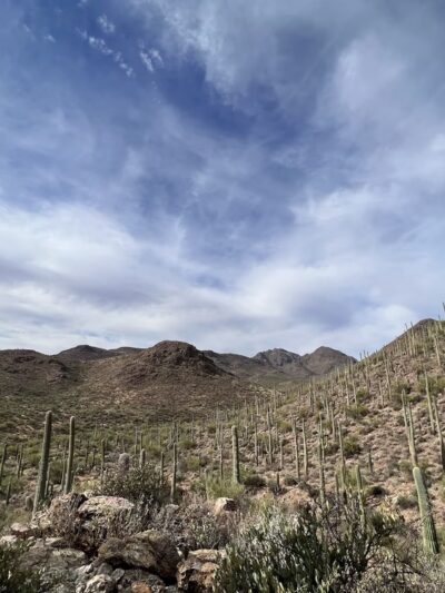 Hidden Canyon Trail - Tucson, AZ